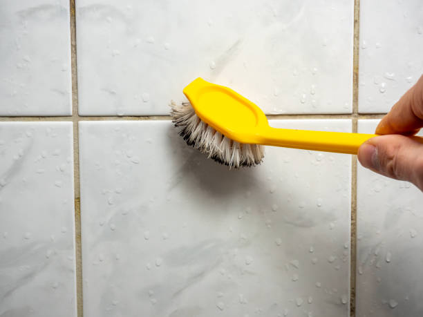 Reliable Monticello, UT Mold Removal Solutions