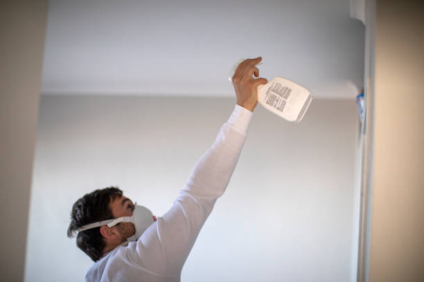 Best Mold Cleaning Services  in Monticello, UT