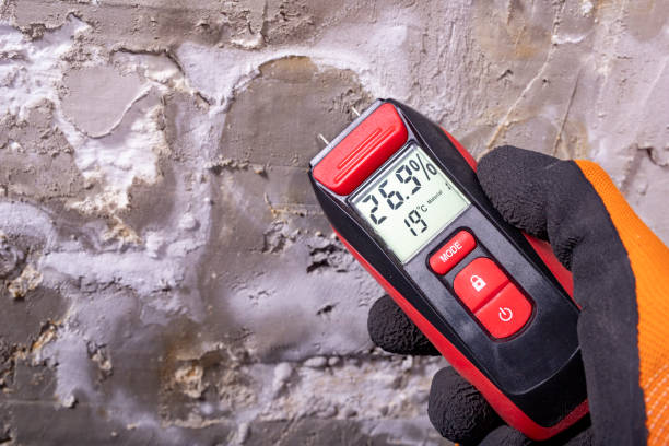 Best Mold Removal Near Me  in Monticello, UT