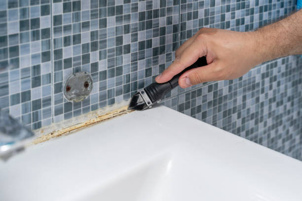 Best Toxic Mold Removal  in Monticello, UT