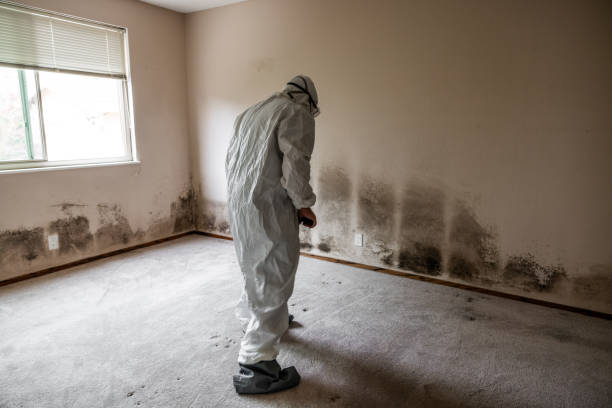 Best Mold Testing  in Monticello, UT